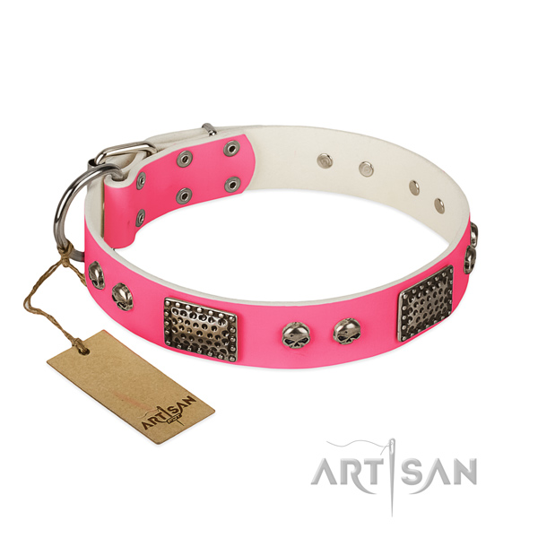 Adjustable full grain genuine leather dog collar for walking your dog