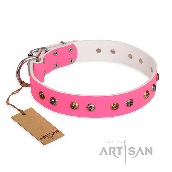 Fancy walking trendy dog collar with strong fittings