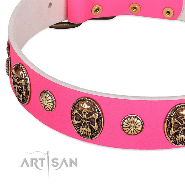 Corrosion proof buckle on genuine leather dog collar for your doggie
