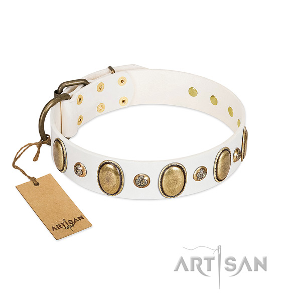 Full grain natural leather dog collar of quality material with remarkable adornments