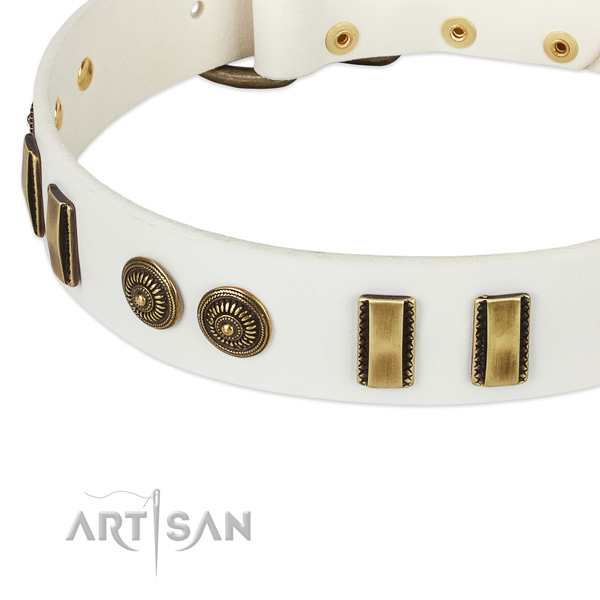 Reliable studs on full grain leather dog collar for your canine