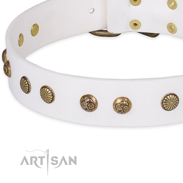 Genuine leather collar with durable buckle for your beautiful doggie