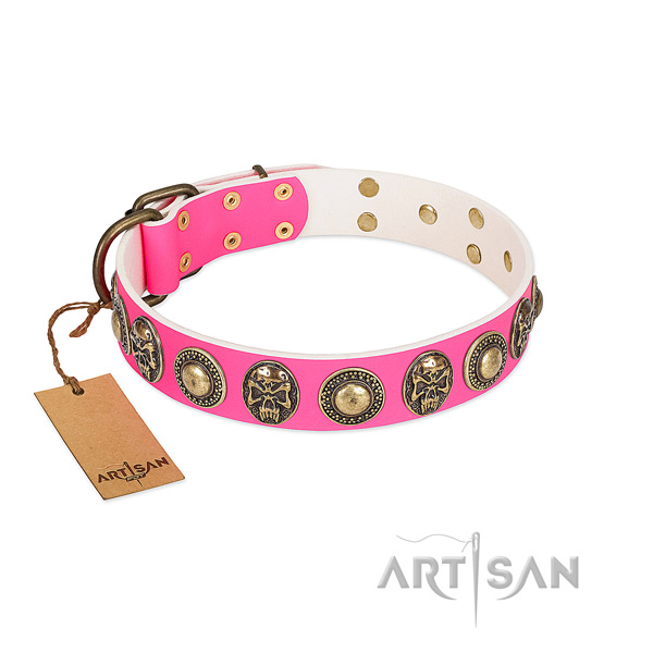 Easy to adjust full grain natural leather dog collar for stylish walking your pet