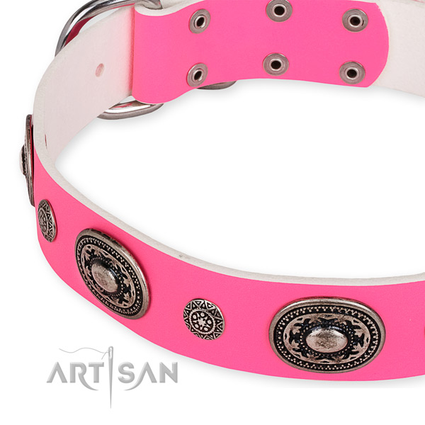 Leather dog collar with incredible rust resistant adornments