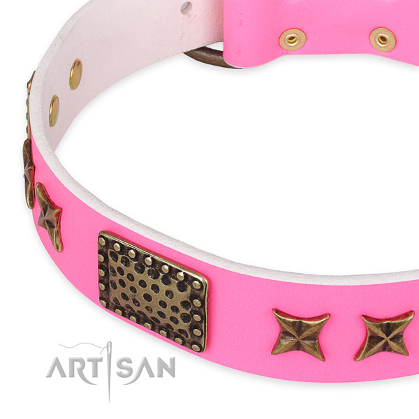 Leather collar with reliable hardware for your lovely four-legged friend