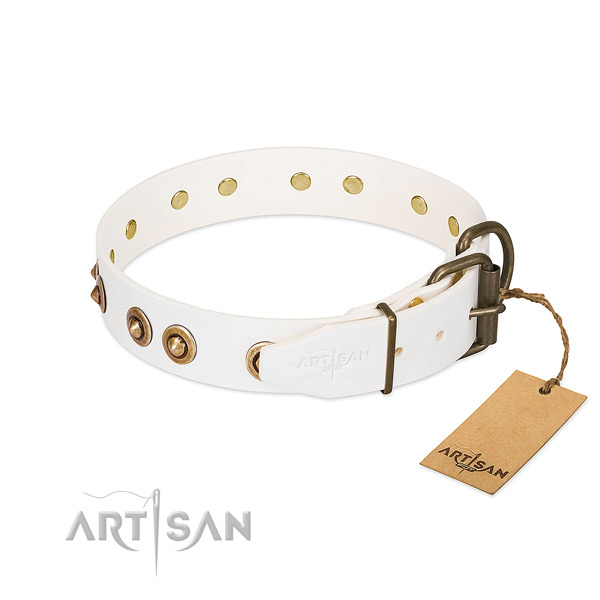 Corrosion resistant decorations on full grain genuine leather dog collar for your canine