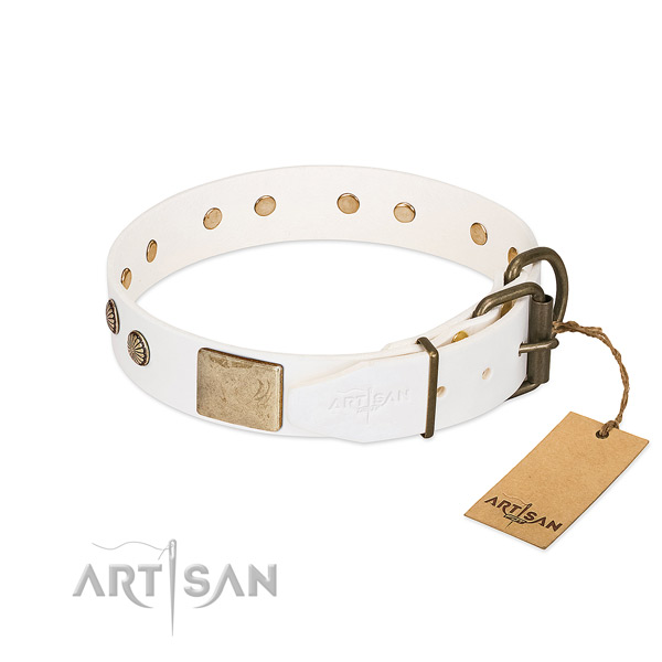 Reliable traditional buckle on basic training dog collar
