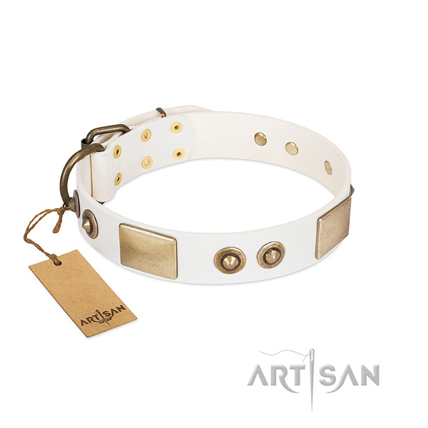 Corrosion proof decorations on natural genuine leather dog collar for your pet