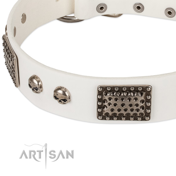 Rust-proof embellishments on full grain leather dog collar for your four-legged friend