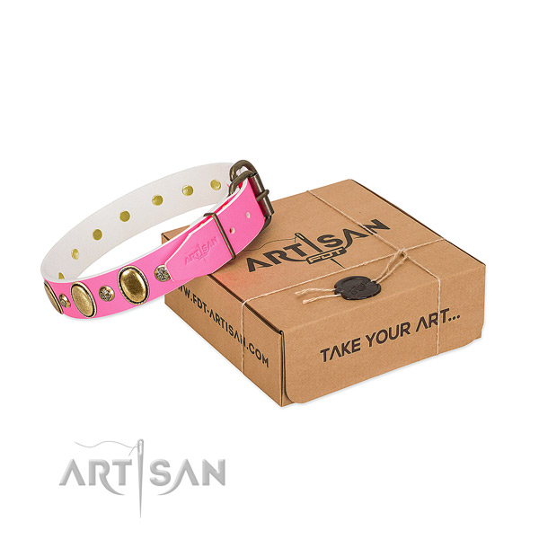 Impressive full grain leather dog collar with corrosion proof buckle