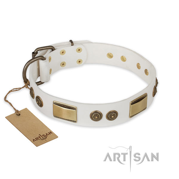 Significant full grain genuine leather dog collar for fancy walking
