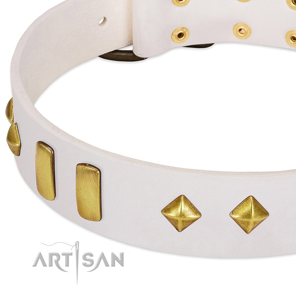 Daily walking leather dog collar with stylish design adornments