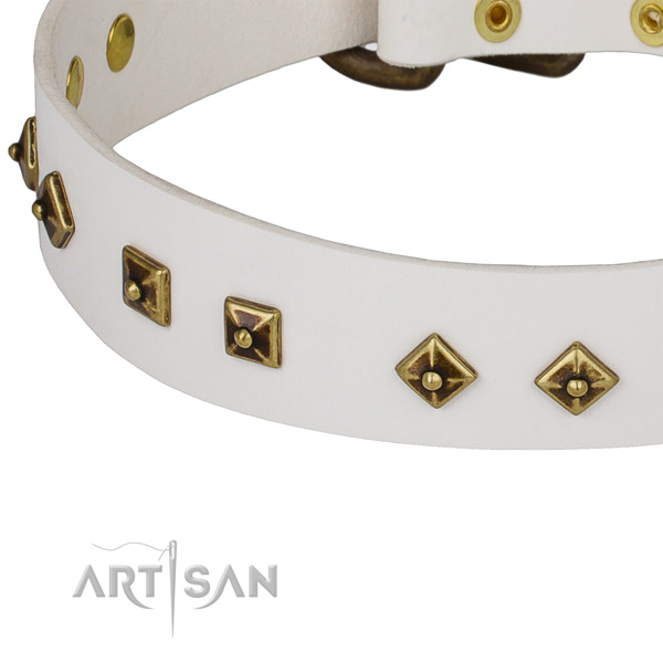 Stylish design leather collar for your attractive dog