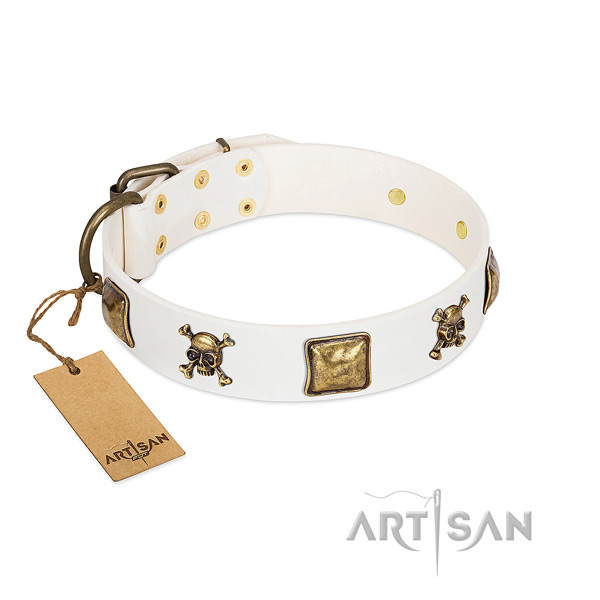 Incredible full grain natural leather dog collar with strong adornments