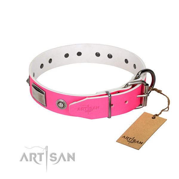 Fine quality natural leather collar with adornments for your dog