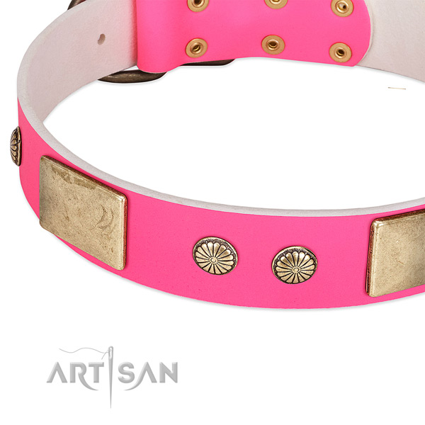 Rust-proof embellishments on leather dog collar for your canine