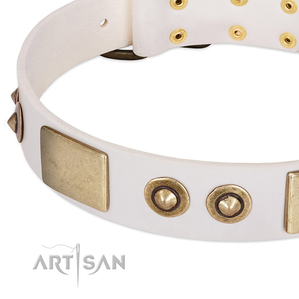 Corrosion proof D-ring on natural genuine leather dog collar for your four-legged friend