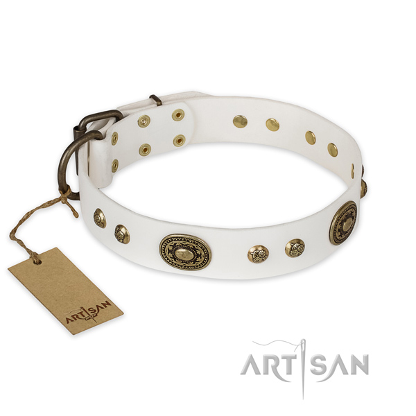 Studded natural genuine leather dog collar for daily walking