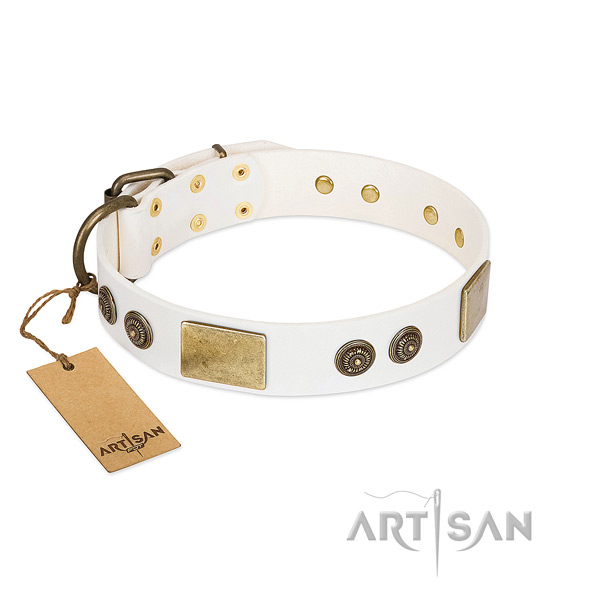 Decorated genuine leather dog collar for daily use
