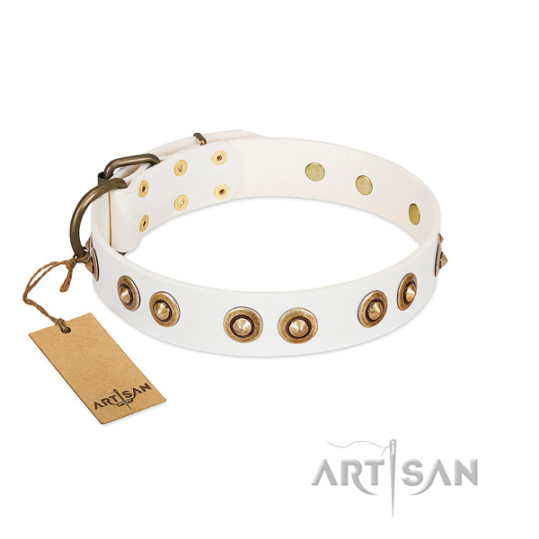 Studded genuine leather collar for your doggie