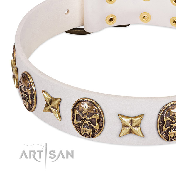 Trendy dog collar made for your attractive dog