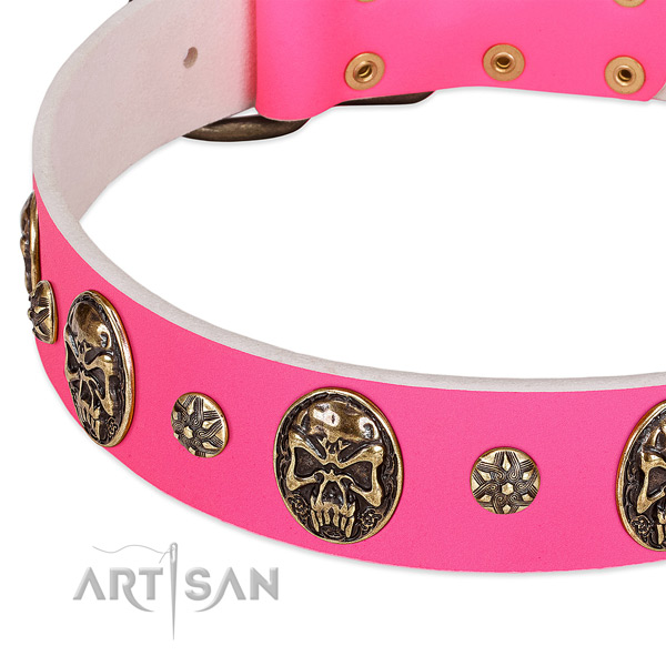 Top quality dog collar made for your attractive pet
