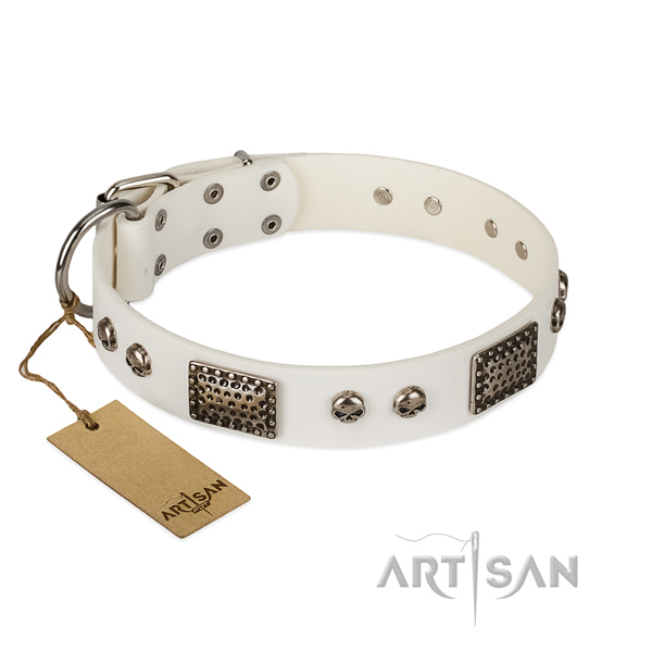 Adjustable full grain natural leather dog collar for daily walking your four-legged friend