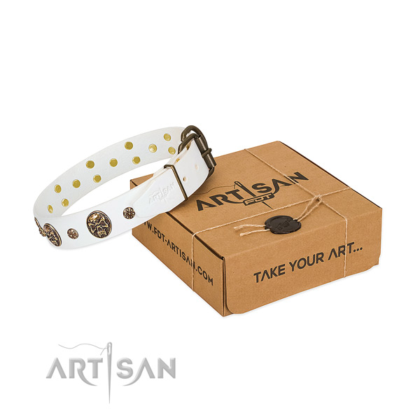 Trendy genuine leather collar for your impressive dog