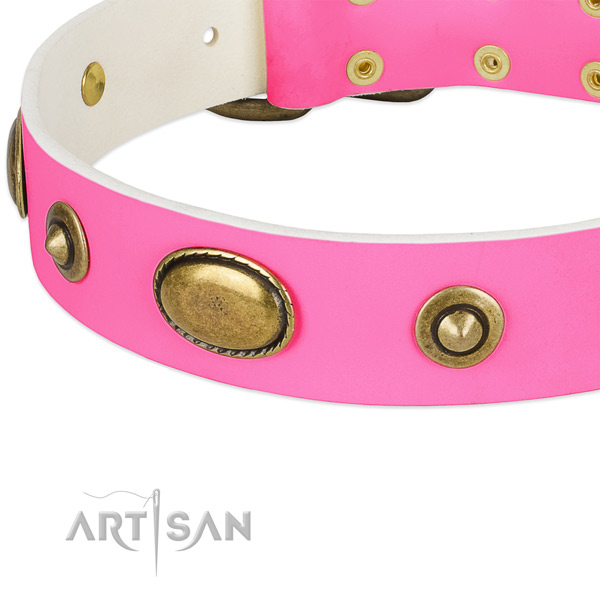 Reliable buckle on genuine leather dog collar for your four-legged friend