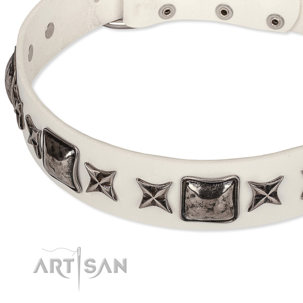 Everyday use adorned dog collar of quality full grain genuine leather