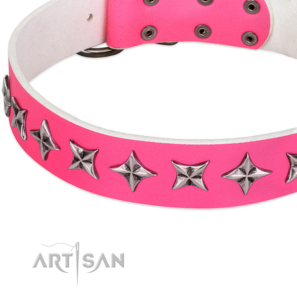 Walking studded dog collar of reliable full grain leather