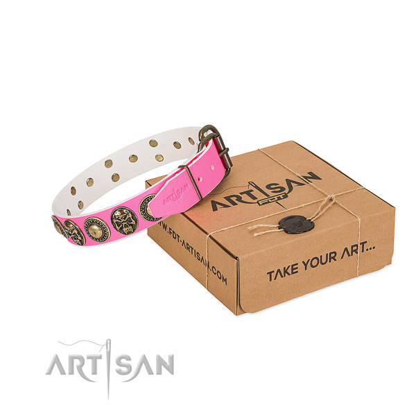 Corrosion proof hardware on dog collar for walking