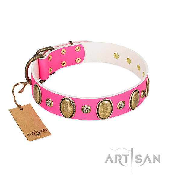 Full grain natural leather dog collar of best quality material with stylish design decorations