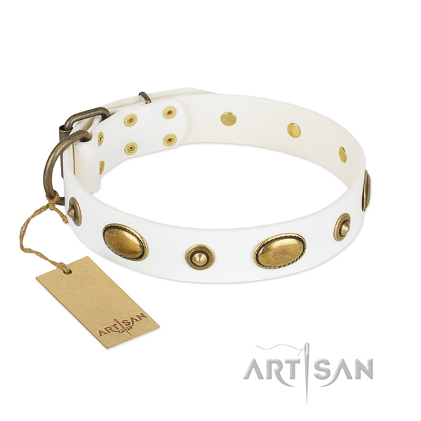 Perfect fit genuine leather collar for your dog