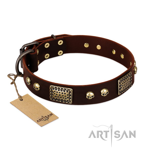 Easy wearing genuine leather dog collar for walking your pet