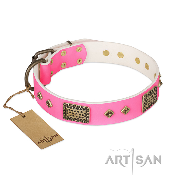 Adjustable leather dog collar for everyday walking your doggie