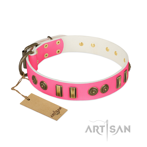 Exceptional leather collar for your pet
