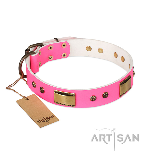 Impressive natural genuine leather collar for your four-legged friend