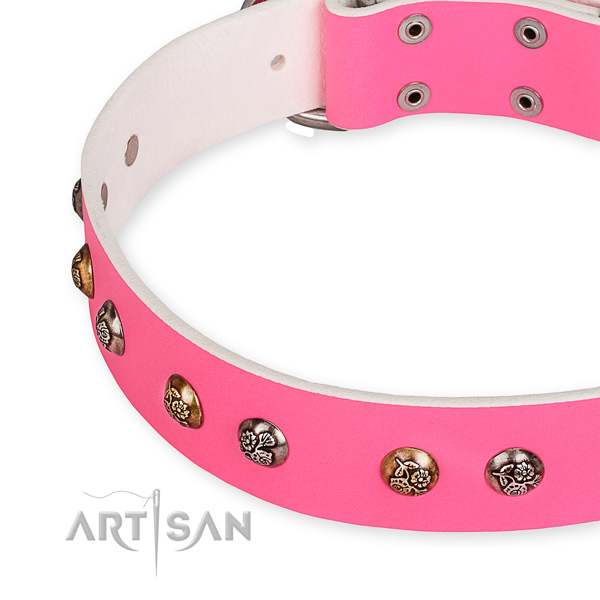 Natural leather dog collar with stylish corrosion resistant adornments