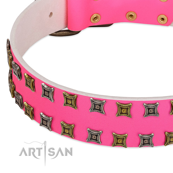 Natural leather dog collar with embellishments for your beautiful doggie