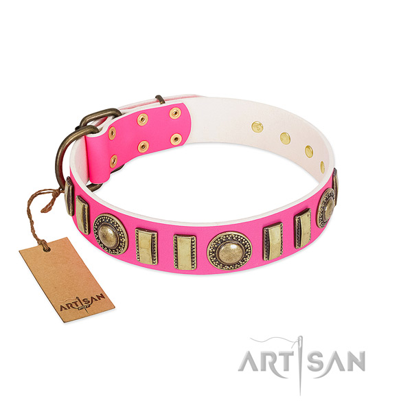 Decorated leather dog collar with strong D-ring