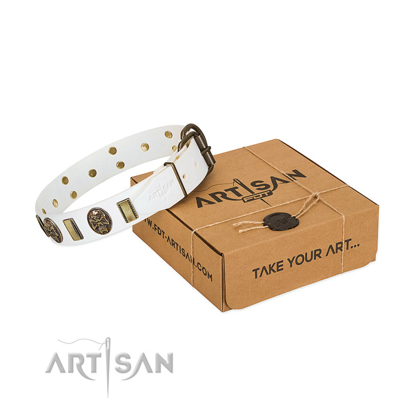 Rust resistant D-ring on genuine leather dog collar for handy use