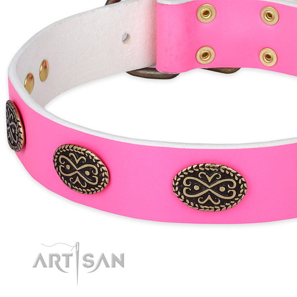 Full grain natural leather dog collar with studs for handy use
