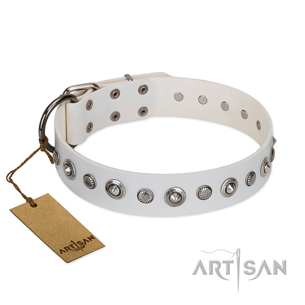 Top quality natural leather dog collar with inimitable embellishments