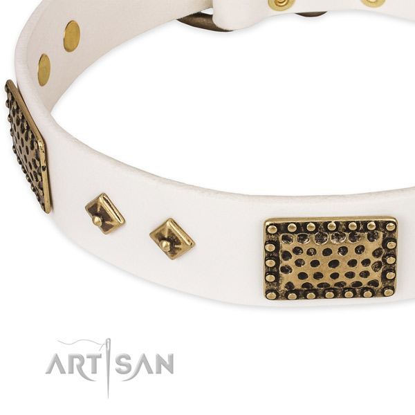 Durable adornments on genuine leather dog collar for your four-legged friend