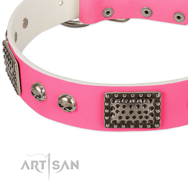 Rust-proof embellishments on full grain leather dog collar for your pet