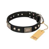 "Pirates Gold" FDT Artisan Black Leather Bulldog Collar with Old Silver Look Plates and Skulls