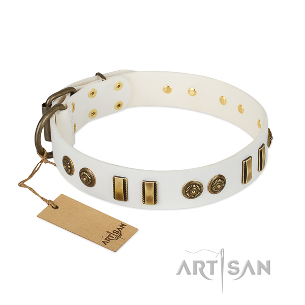 Strong buckle on genuine leather dog collar for your four-legged friend