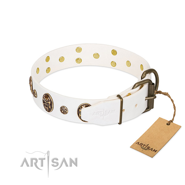 Durable D-ring on leather dog collar for your four-legged friend