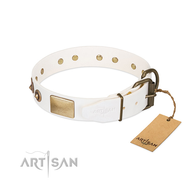 Corrosion proof buckle on full grain leather dog collar for your pet